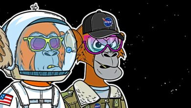 Apes in Space NFT